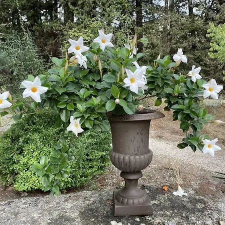 Le Clos De La Tour Piscine Chauffee Villa